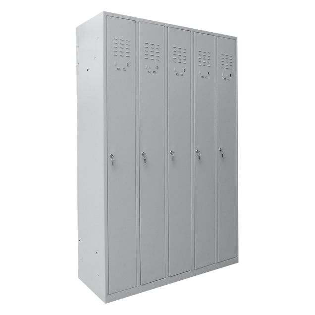 Vestiar 5 usi Prime D856